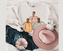 Load image into Gallery viewer, Women's Fall Hand Drawn Pastel Pumpkins Pullover Sweatshirt