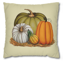 Load image into Gallery viewer, Fall Scarecrow Pillow Covers, Rustic Country Square Covers, Country Farmhouse Decor, Coordinating Pillow Cover Set, Farmhouse Pillows