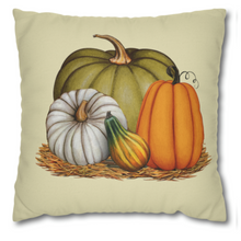 Load image into Gallery viewer, Fall Scarecrow Pillow Covers, Rustic Country Square Covers, Country Farmhouse Decor, Coordinating Pillow Cover Set, Farmhouse Pillows
