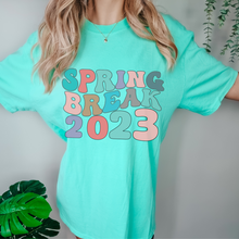 Load image into Gallery viewer, Always Free Shipping! Trendy Comfort Colors® Retro Spring Break 2023 T-shirt, Spring or Summer Blue, White, Green or Blossom T-Shirt
