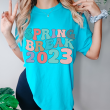 Load image into Gallery viewer, Always Free Shipping! Trendy Comfort Colors® Retro Spring Break 2023 T-shirt, Spring or Summer Blue, White, Green or Blossom T-Shirt
